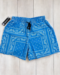 Light Blue Paisley Shorts - front view