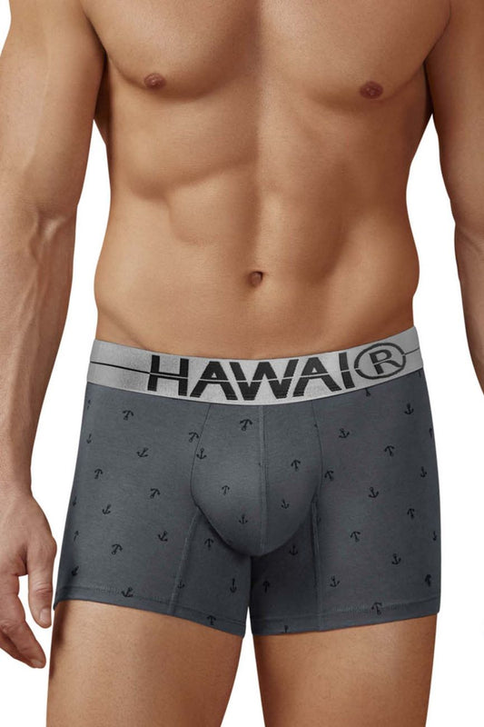 HAWAIR Men's Underwear 42521 Cotton blend Trunks Color Gray