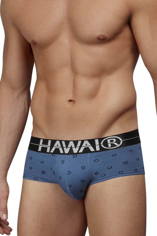HAWAIR Men's Underwear 42531 Cotton blend Briefs Color Blue Quartz