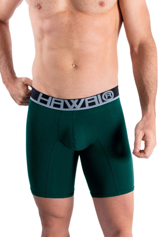 HAWAIR Men's Underwear 41903 Solid Athletic Boxer Briefs Color Green