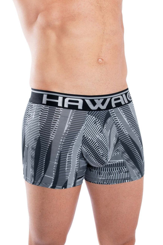 HAWAIR Men's Underwear 42121 Printed Athletic Trunks Color Black