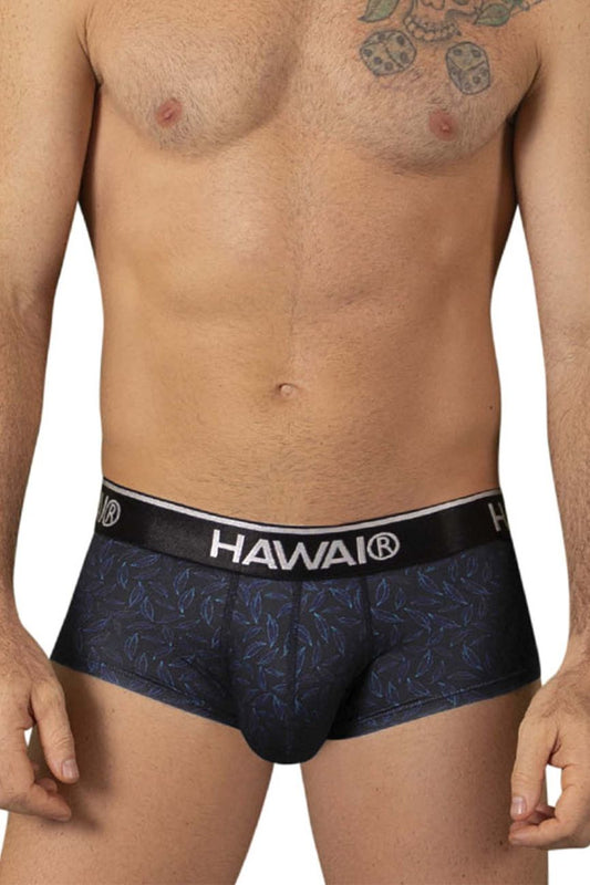HAWAIR Men's Underwear 42380 Printed Briefs Color Black