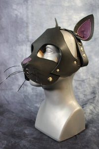 Kitten Hood - front view