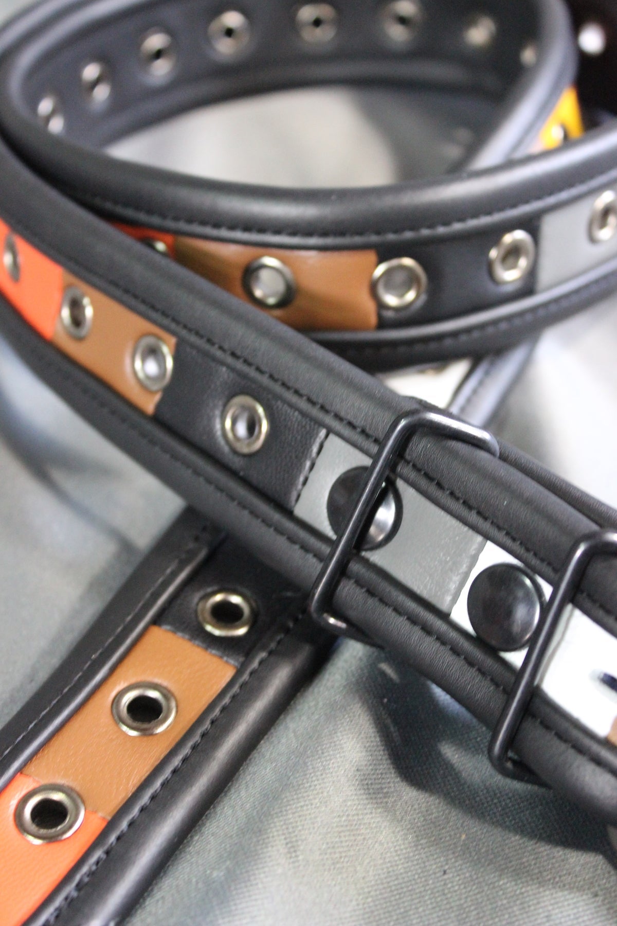 Bear Pride Flag Belt - view 3