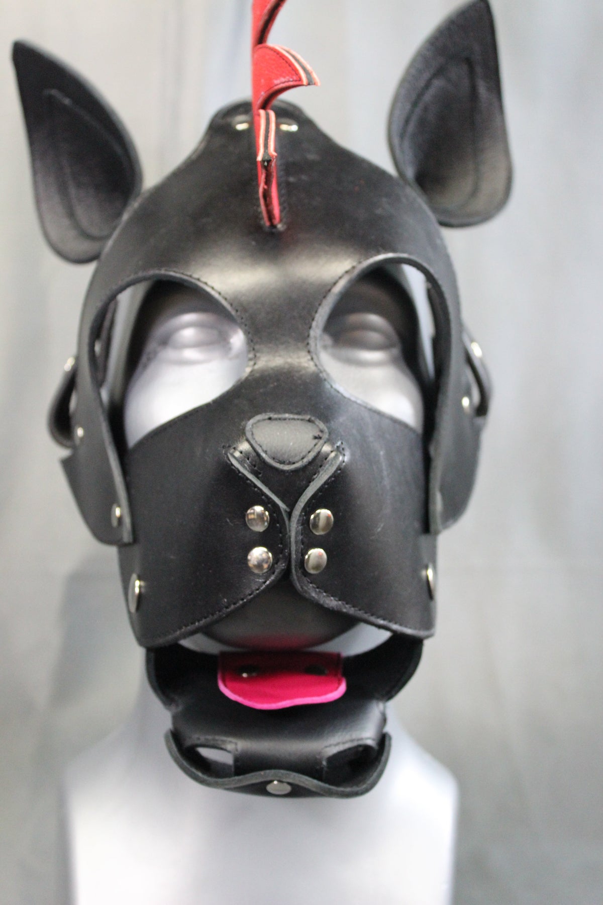 Mohawk Pup - view 17