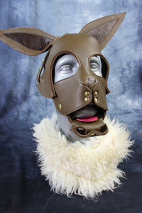 Eevee Puppy Hood - front view