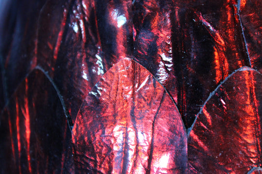 Fire Dragon Egg - view 2