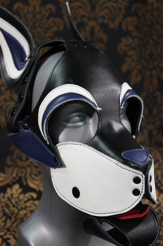 Husky style Pup Hood with Blue highlights - view 2