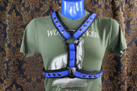 Neoprene Two-Toned Extended X Harness - front view