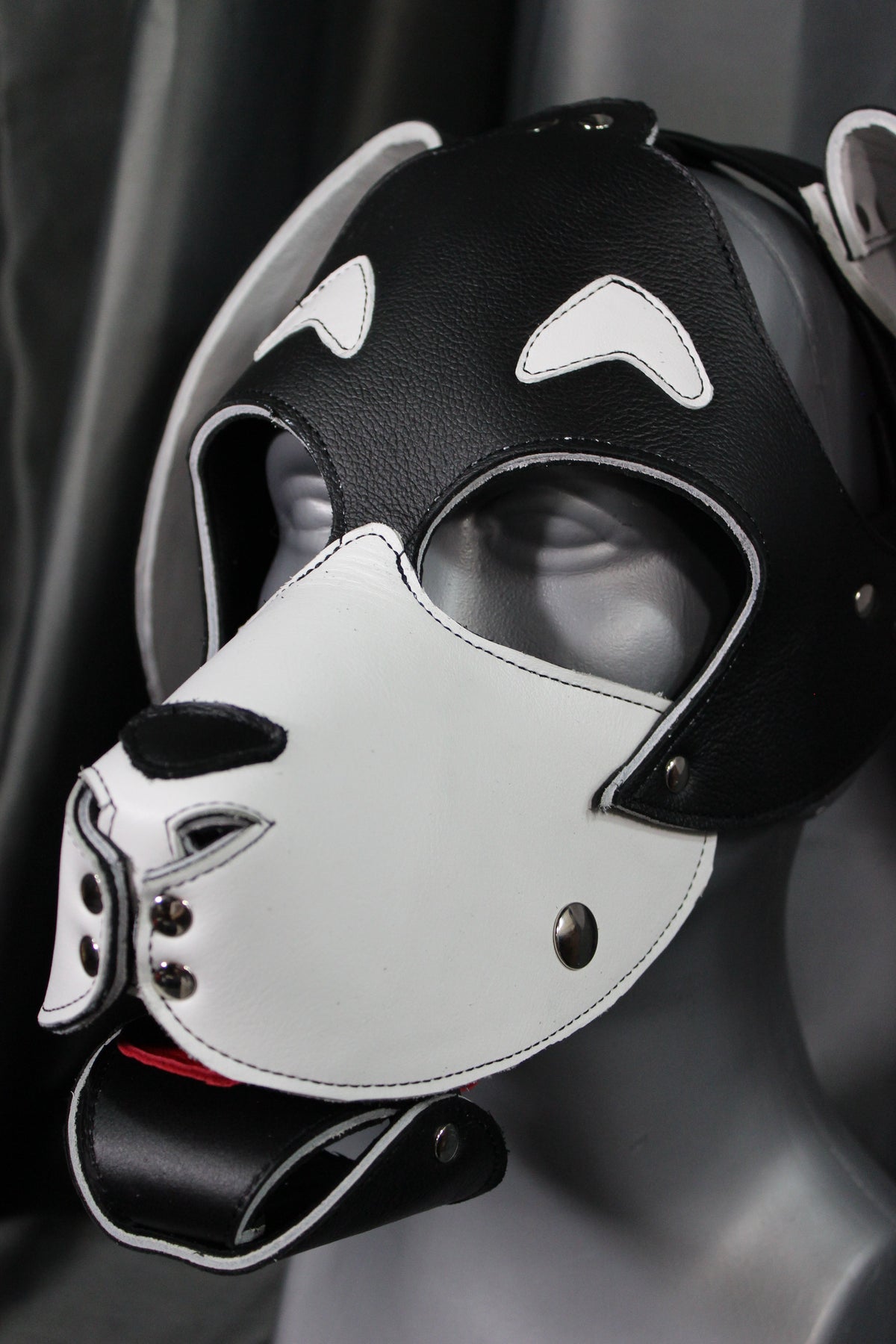 Basset Hound Style Pup Hood in Black and White - view 4