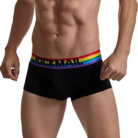 Rainbow Trunk - view 1