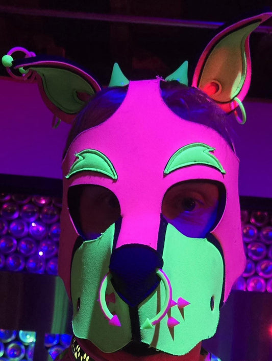 Mix & Match 3D Printed Pup Hood Piercings (3 or 5 pack) | MEN | Pupifer's Kink Wonderland | OUTFAIR | OUTFAIR