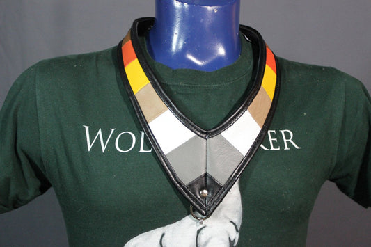 Medallion Holder in Bear Pride Colors - view 2