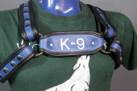 K9 Harness - front view