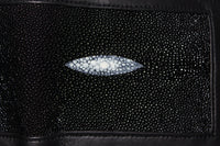 Stingray Wallet - front view