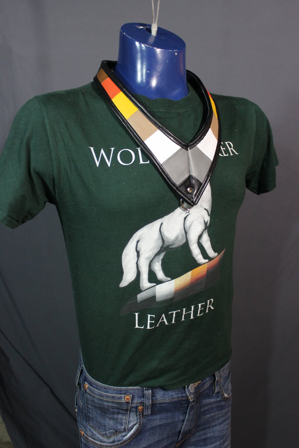 Medallion Holder in Bear Pride Colors - view 4