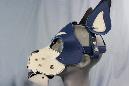 Blue and White Boxer Hood with Studded Whiskers - front view