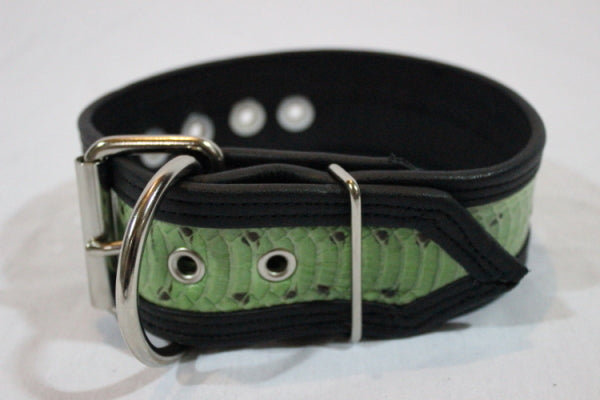 Snakeskin Collar - view 13