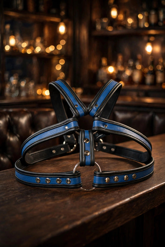Blue and Black Bulldog Harness with removable backpiece. Two items in one!