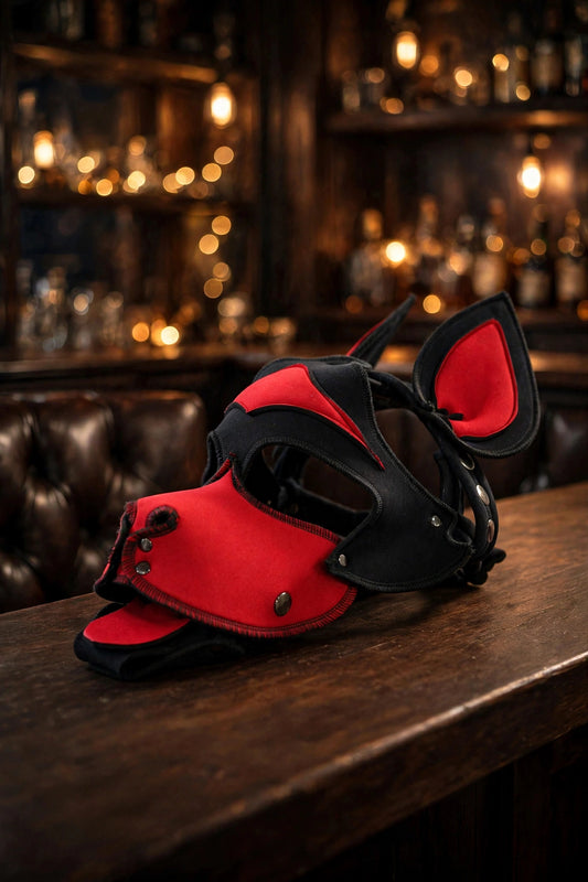 Pupskinz Custom Two Toned Neoprene Husky Hood