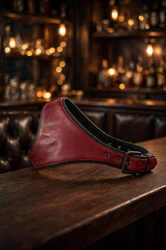 Burgundy and Black Tri-Point Harness