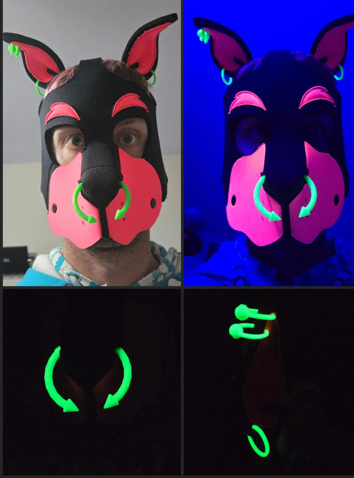 Pup Hood Nose/Septum Ring Piercing