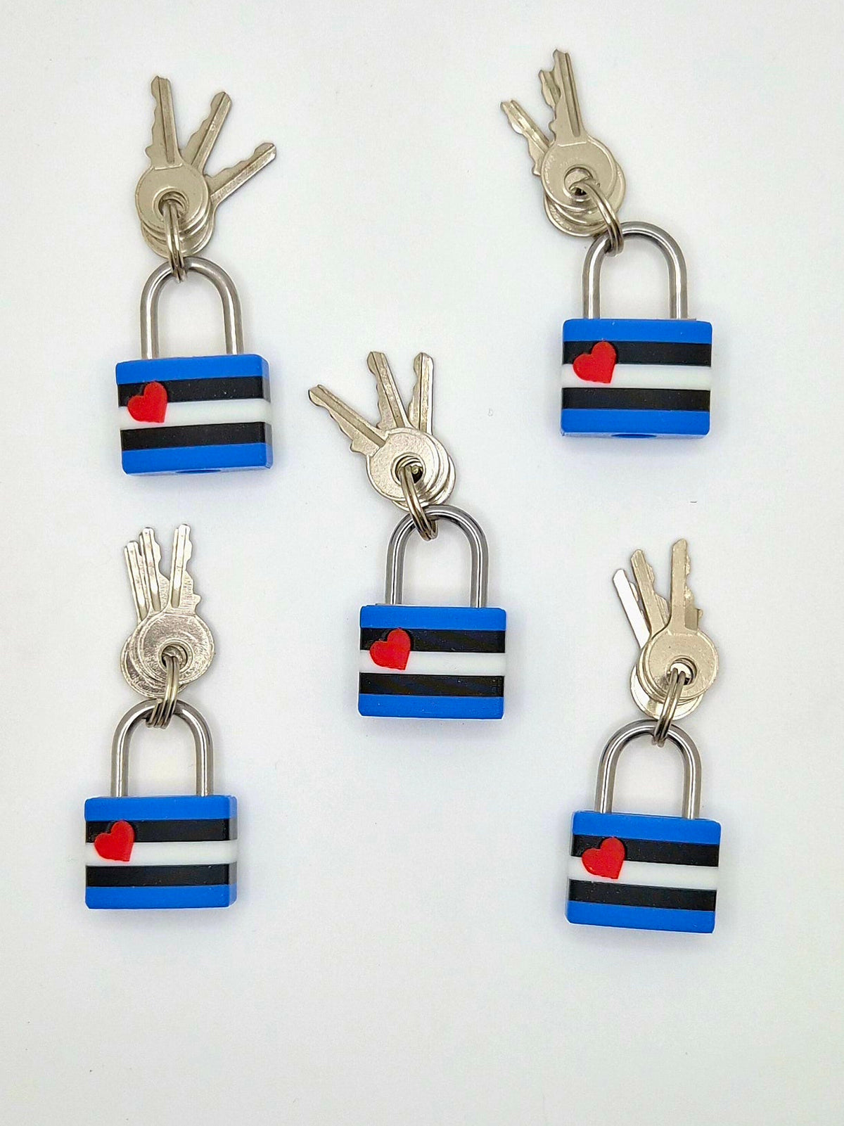 Small Padlock & Cover – Custom Kink Collar Lock, Keyed Alike Options, Glow & Pride Styles