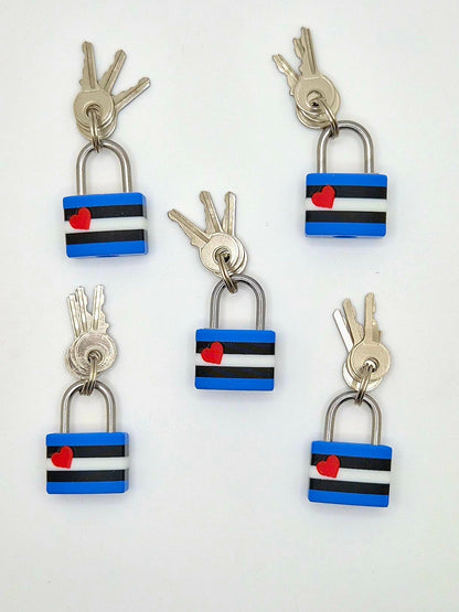 Small Padlock & Cover – Custom Kink Collar Lock, Keyed Alike Options, Glow & Pride Styles