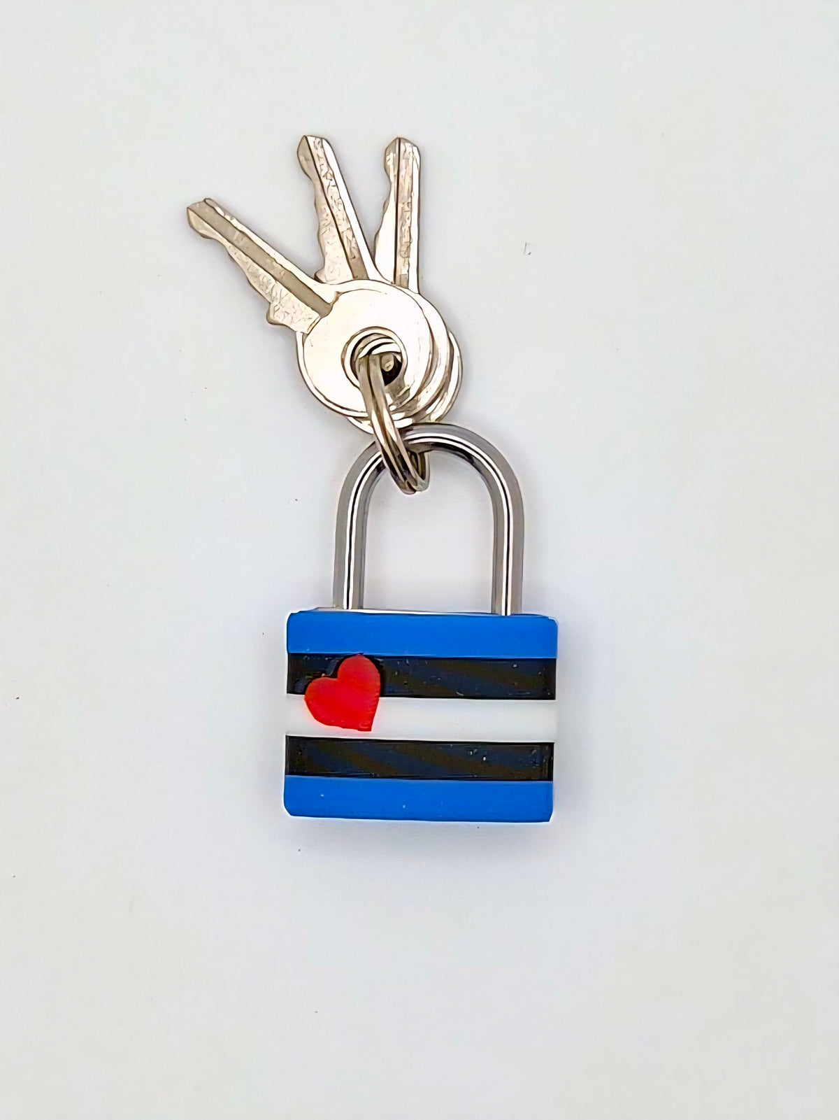 Small Padlock & Cover – Custom Kink Collar Lock, Keyed Alike Options, Glow & Pride Styles