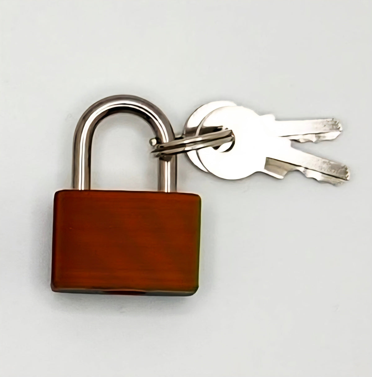 Small Padlock & Cover – Custom Kink Collar Lock, Keyed Alike Options, Glow & Pride Styles