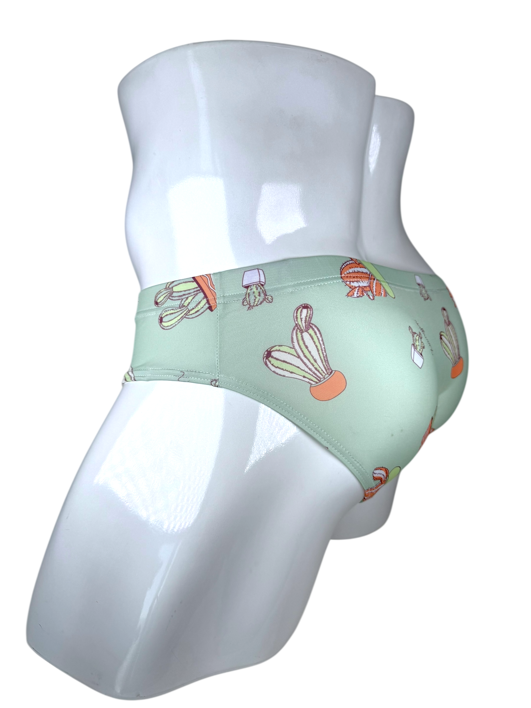 Cactus Swimsuit | MEN SWIMWEAR | LAVISH NY | OUTFAIR | OUTFAIR