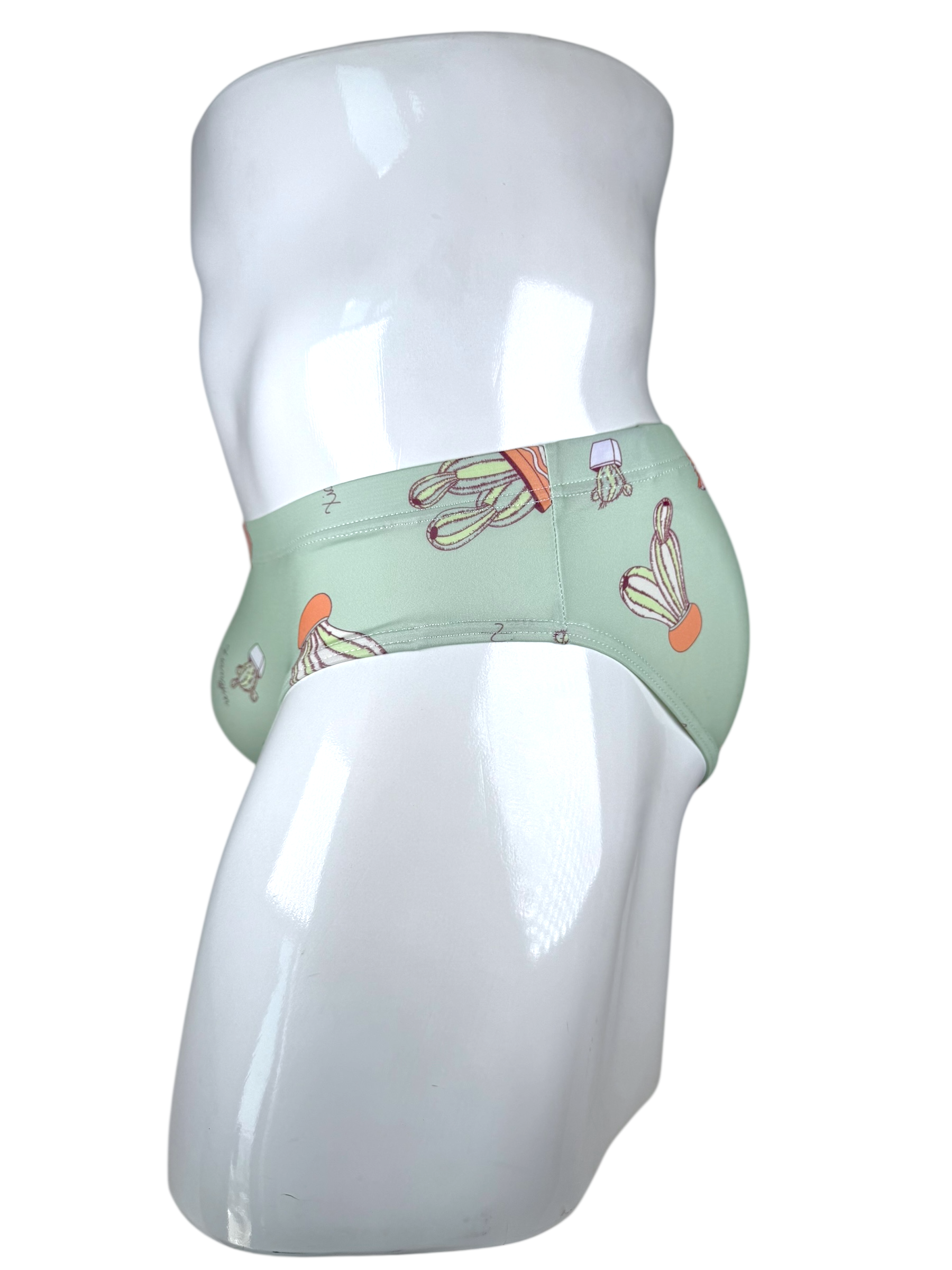 Cactus Swimsuit | MEN SWIMWEAR | LAVISH NY | OUTFAIR | OUTFAIR