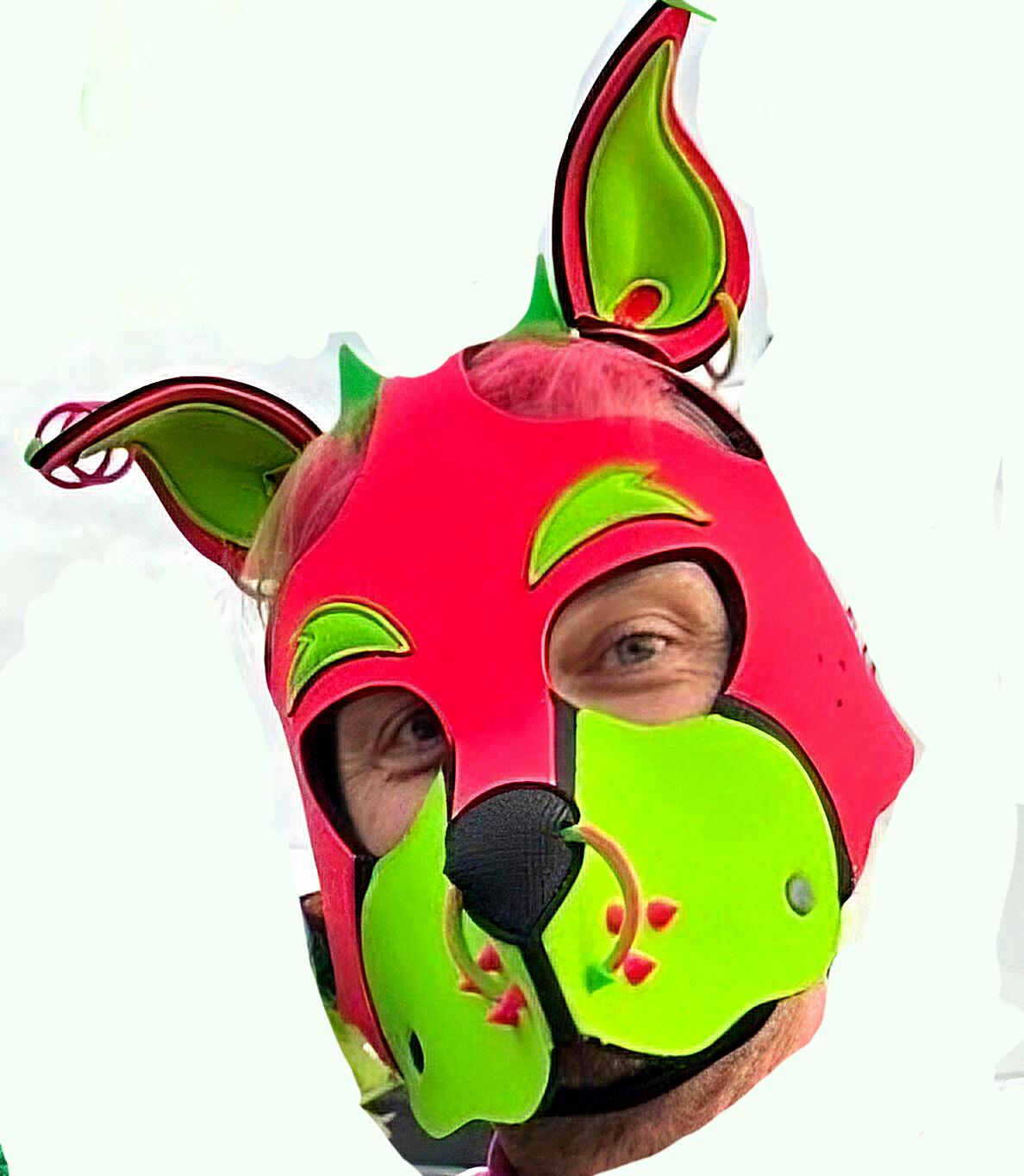 Mix & Match 3D Printed Pup Hood Piercings (3 or 5 pack)
