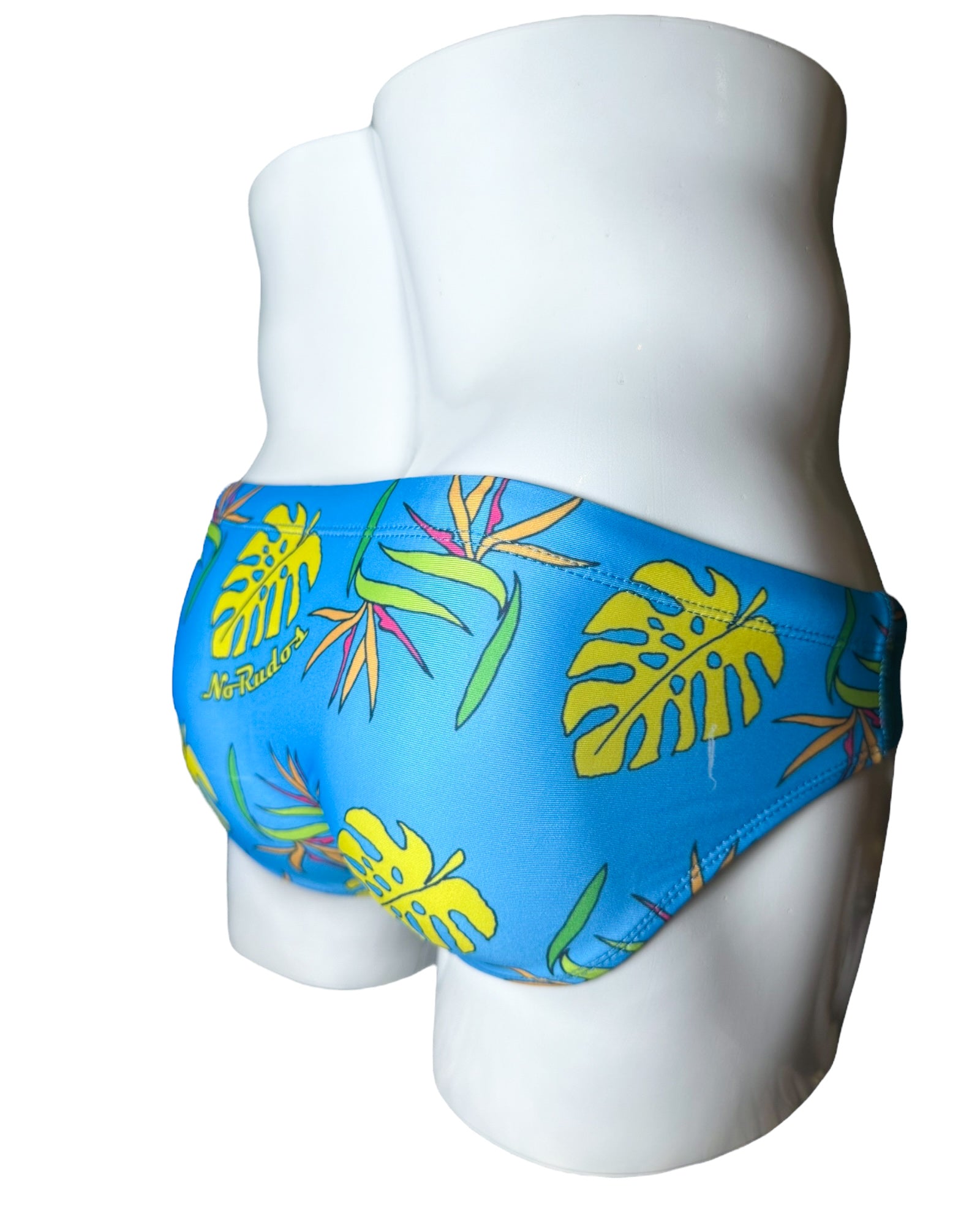 Briefs of Paradise Swim Brief | MEN SWIMWEAR | NO RUDOS | OUTFAIR | OUTFAIR