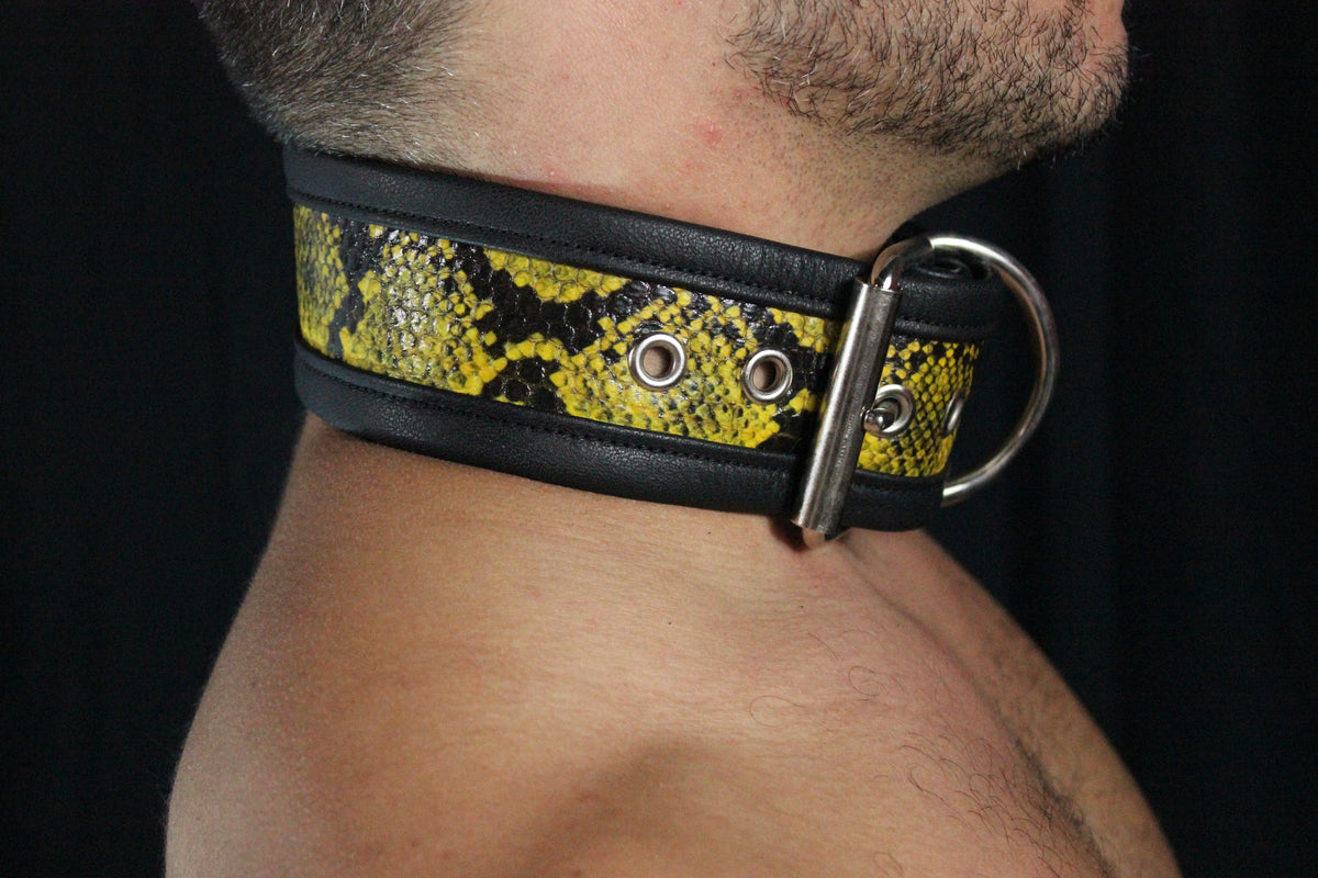 Snakeskin Collar - front view