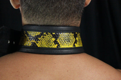 Snakeskin Collar - view 3