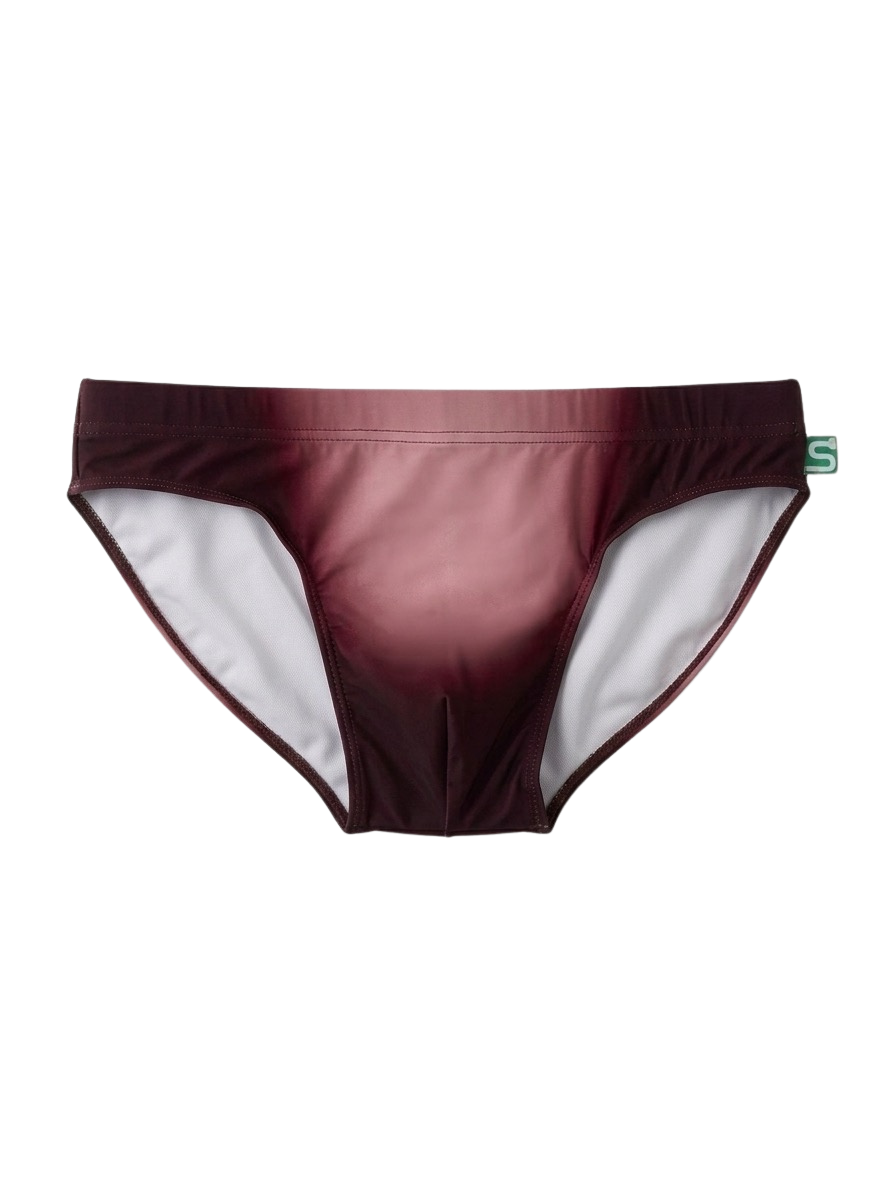 The Seaman Statement Brief