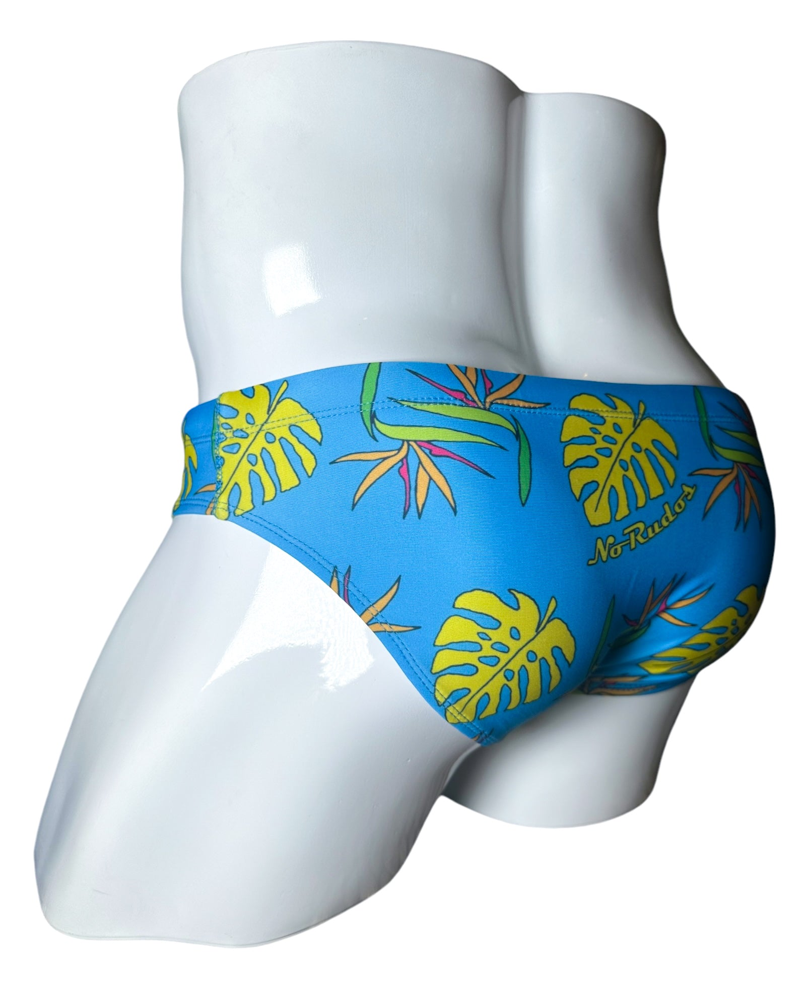 Briefs of Paradise Swim Brief | MEN SWIMWEAR | NO RUDOS | OUTFAIR | OUTFAIR
