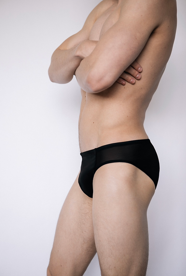 TRIDENT MESH BRIEF