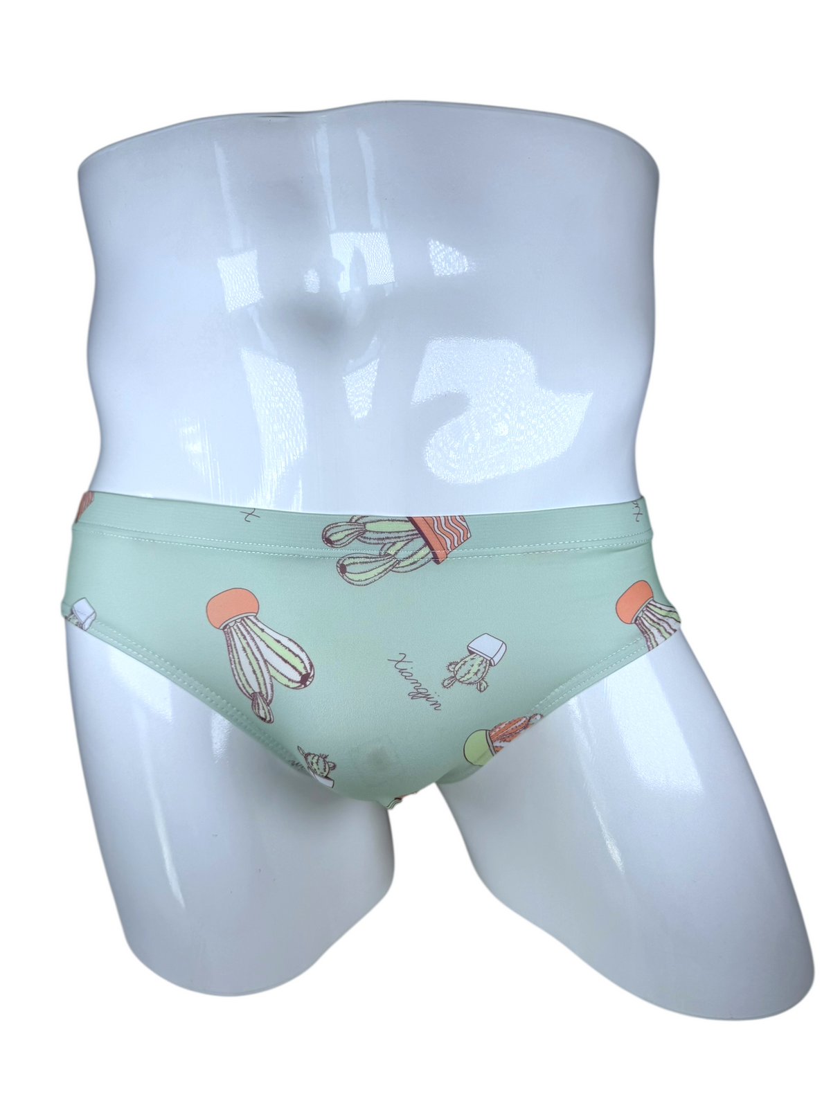 Cactus Swimsuit | MEN SWIMWEAR | LAVISH NY | OUTFAIR | OUTFAIR