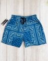 Denim Blue Paisley Shorts