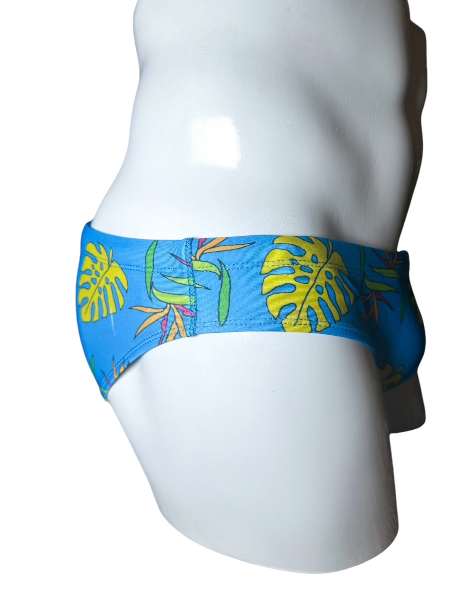 Briefs of Paradise Swim Brief | MEN SWIMWEAR | NO RUDOS | OUTFAIR | OUTFAIR