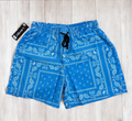 Light Blue Paisley Shorts