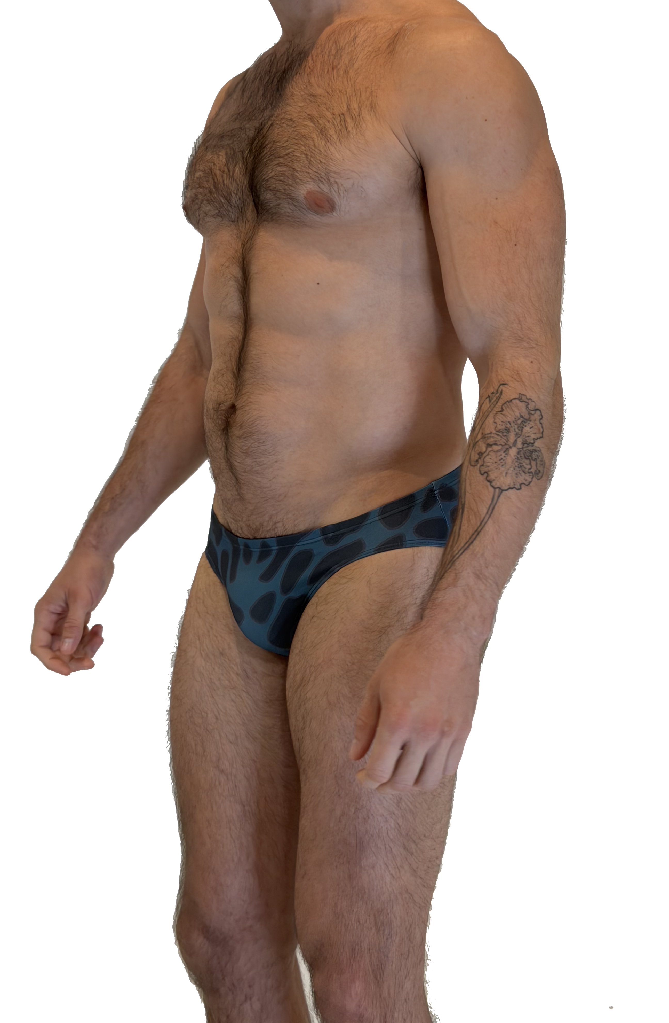 ATLANTIS BRIEF