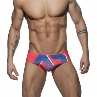 Addicted Gradient Swim Brief
