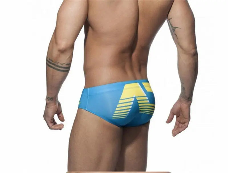 Addicted Gradient Swim Brief