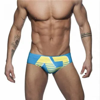 Addicted Gradient Swim Brief