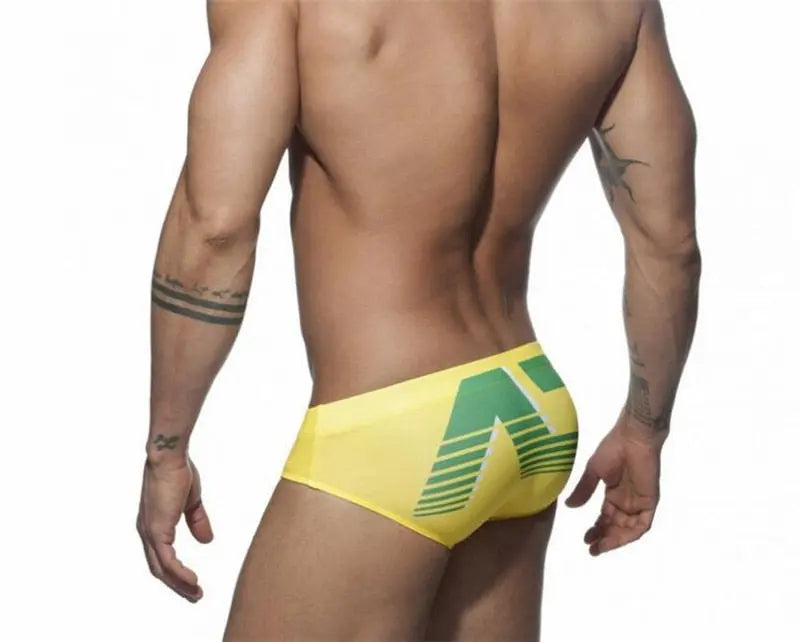 Addicted Gradient Swim Brief