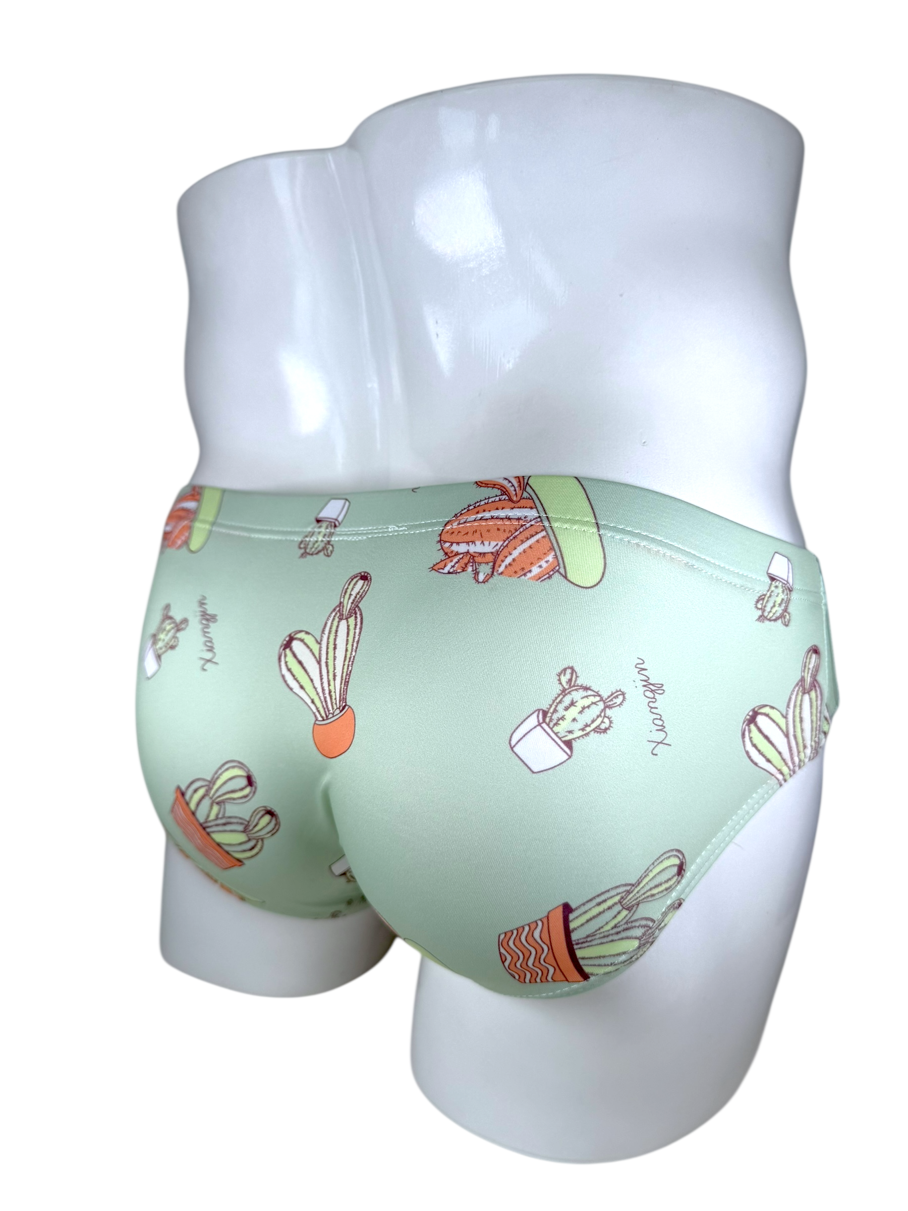 Cactus Swimsuit | MEN SWIMWEAR | LAVISH NY | OUTFAIR | OUTFAIR