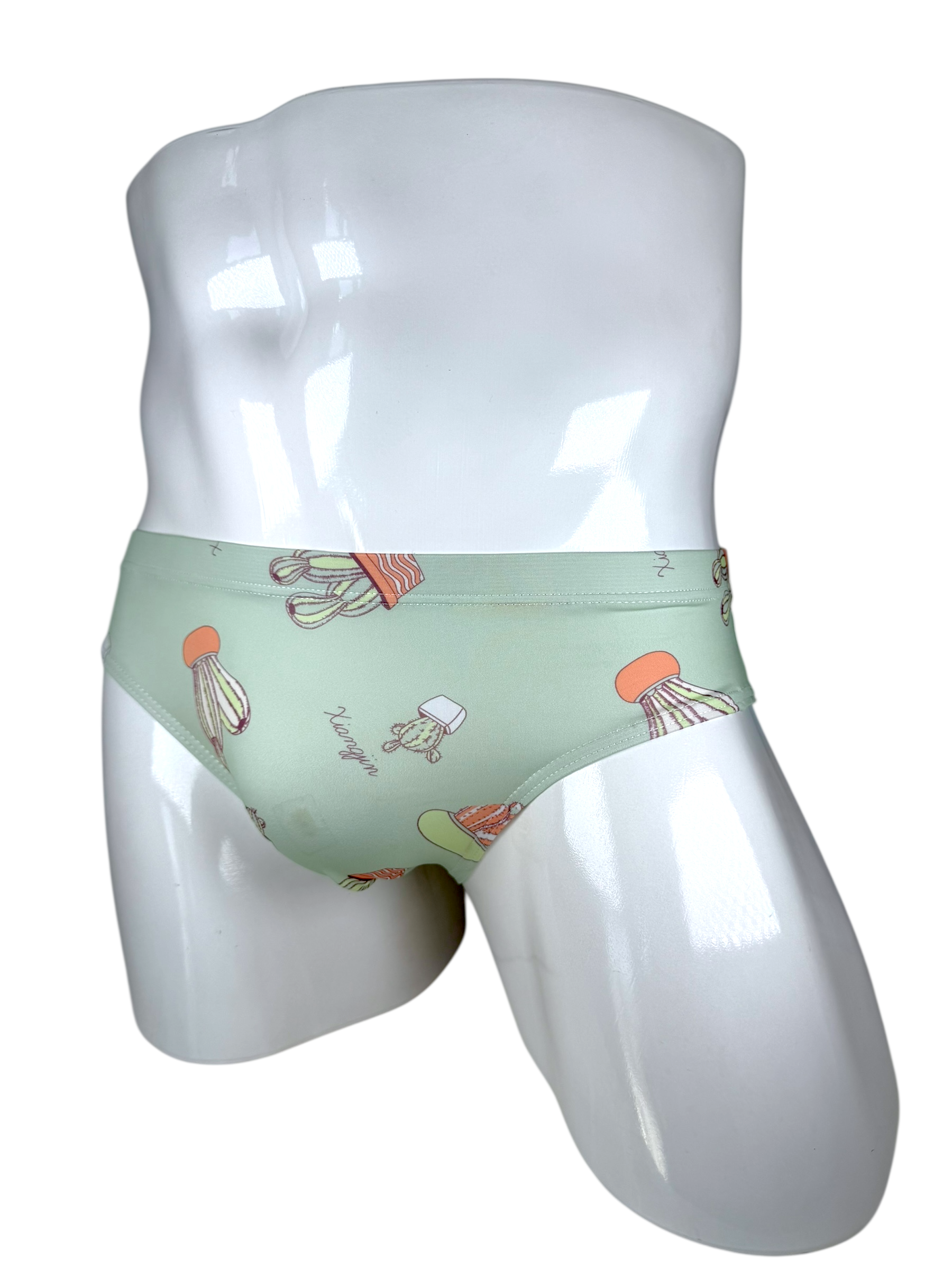 Cactus Swimsuit | MEN SWIMWEAR | LAVISH NY | OUTFAIR | OUTFAIR